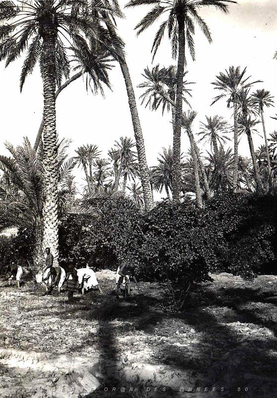 Sud oranais 005-Monneret.jpg